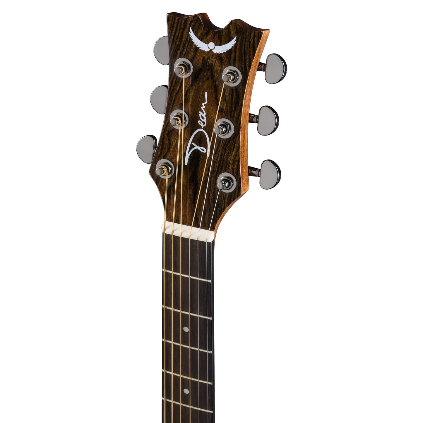 AXS Exotic Cutaway A/E Caidie