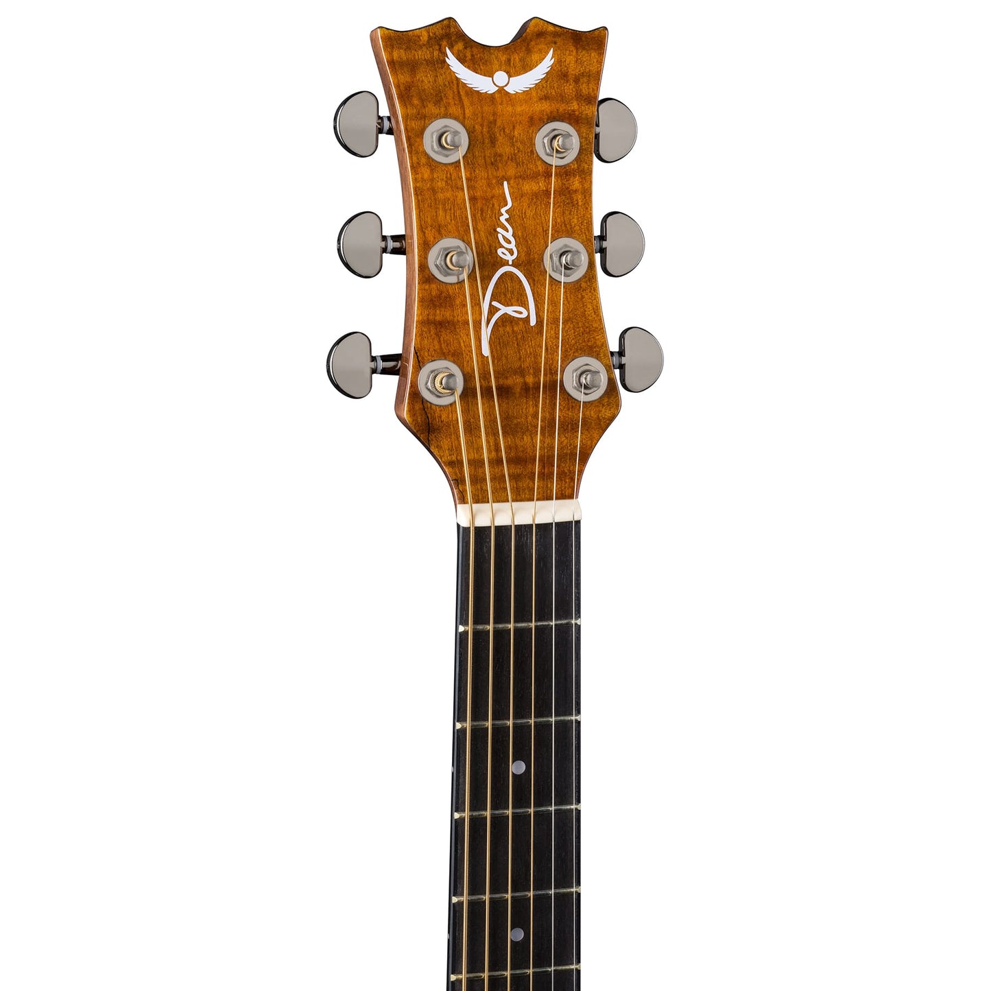 AXE Exotic Cutaway A/E Spalt