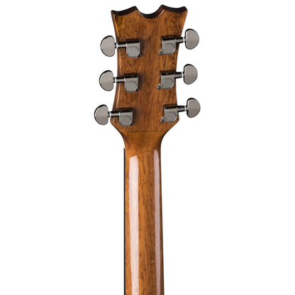 AXE Exotic Cutaway A/E Spalt