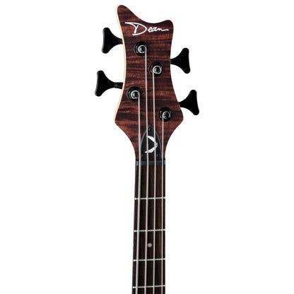 Edge 1 PJ Vintage Mahogany
