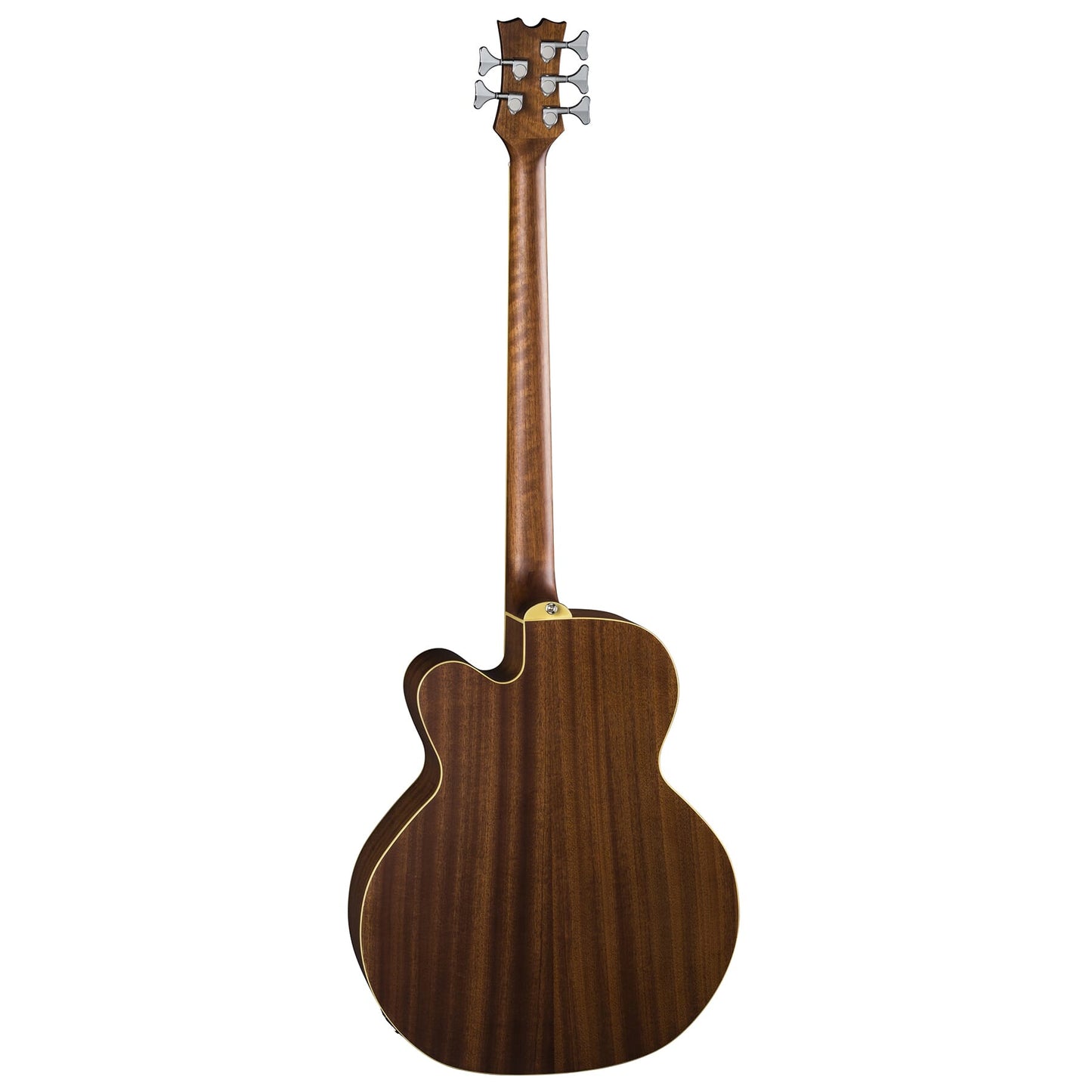 Acoustic/Electric Bass Cutaway 5 String Satin Natural