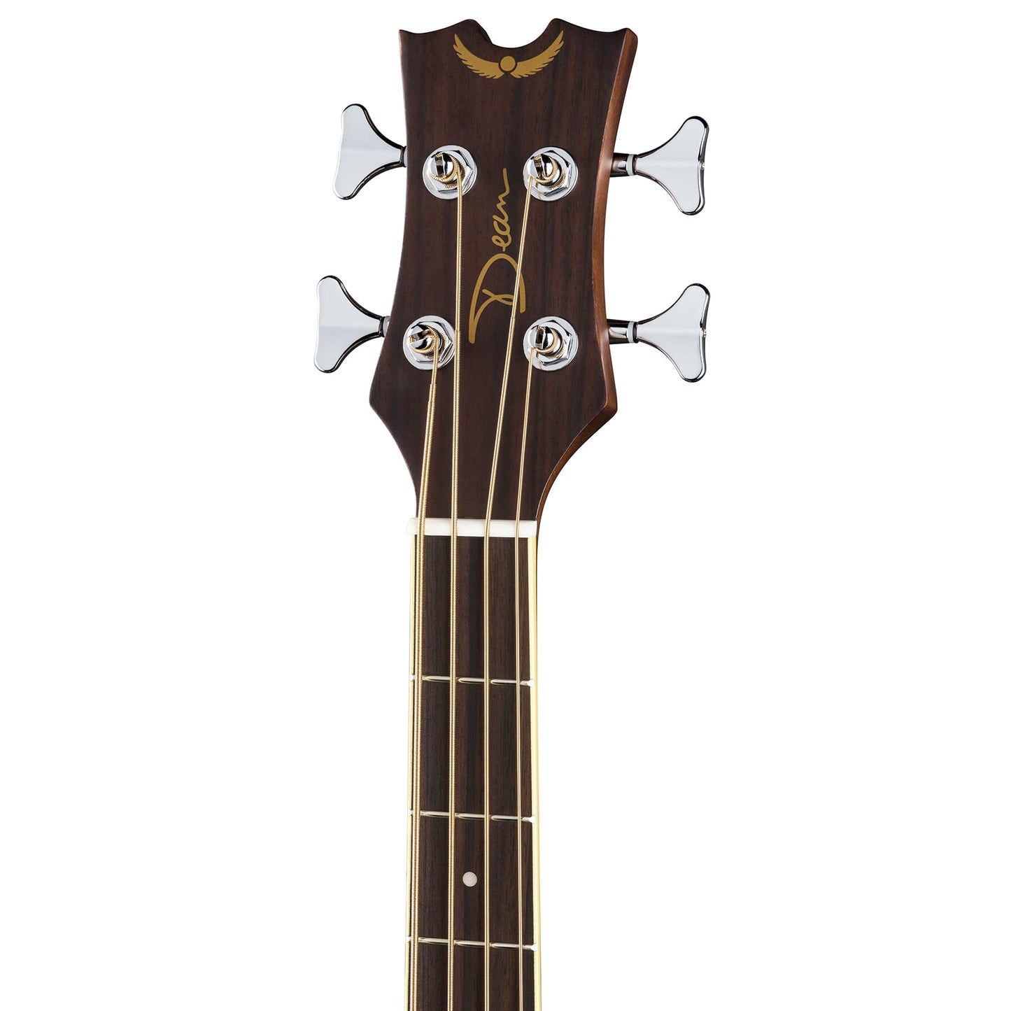 Acoustic/Electric Bass CAW SN