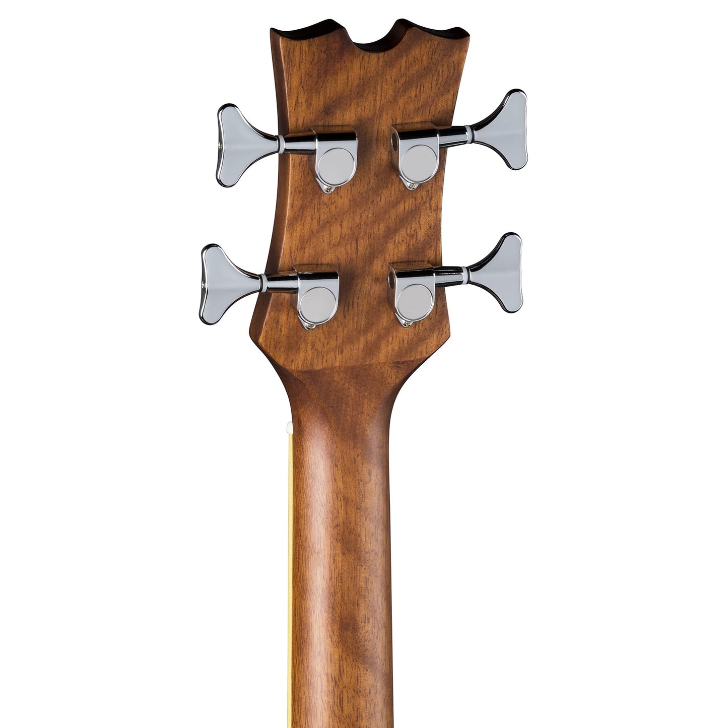 Acoustic/Electric Bass CAW SN