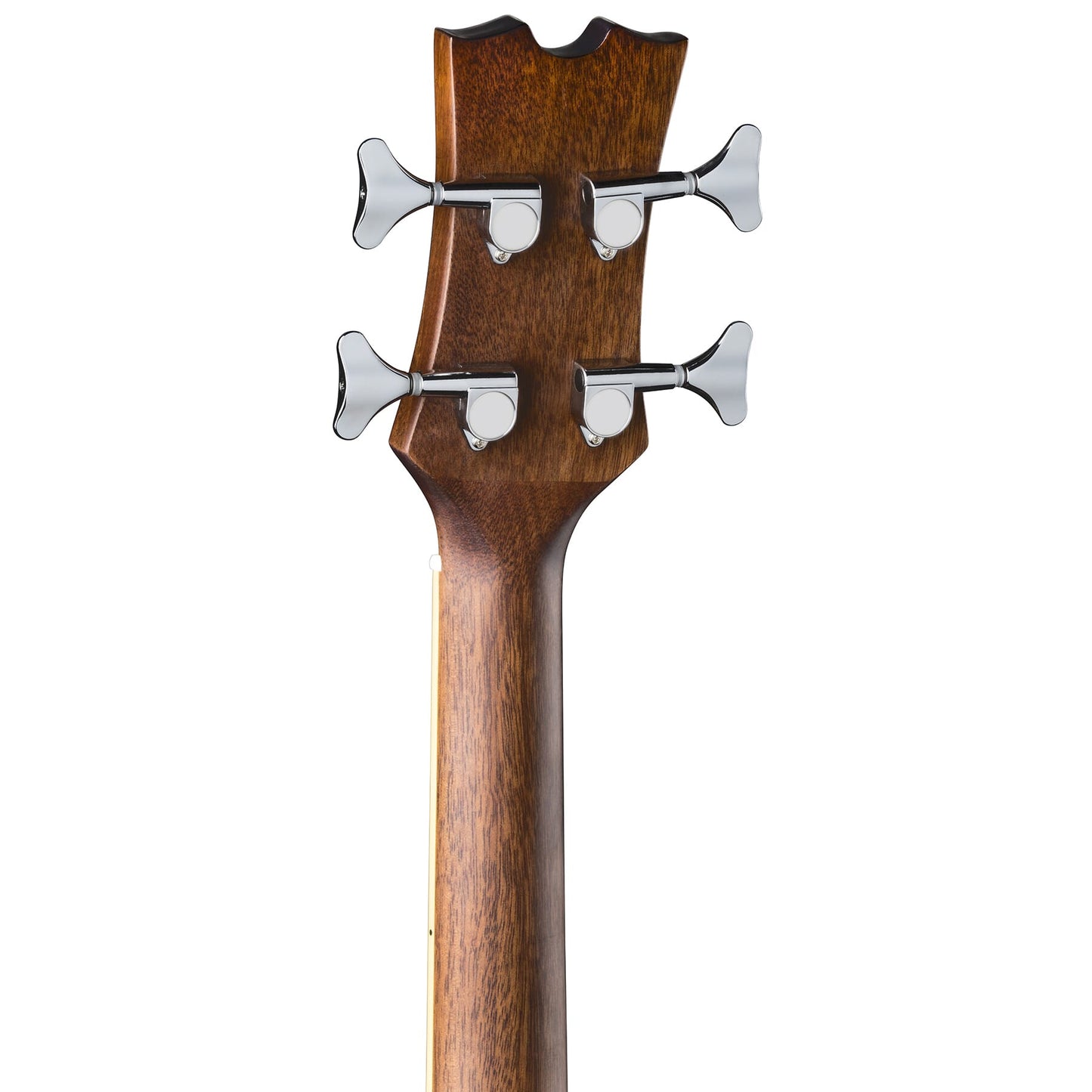 Acoustic/Electric Bass CAW Lefty SN