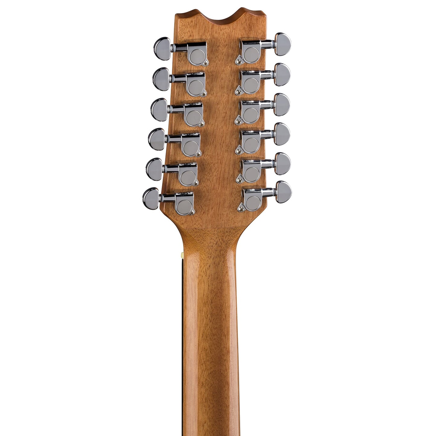 Exotica Quilt Ash A/E 12 String GN