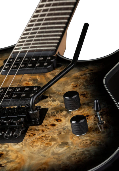 Exile Select Floyd Fluence Natural Black Burst