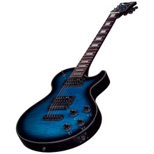 Thoroughbred John Connolly Trans Blueburst