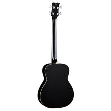 Resonator Acoustic/Electric Bass CBK