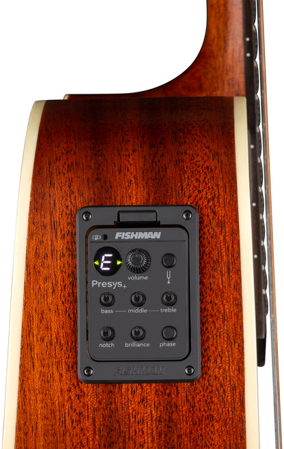 St. Augustine Elite Solid Top Dread A/E