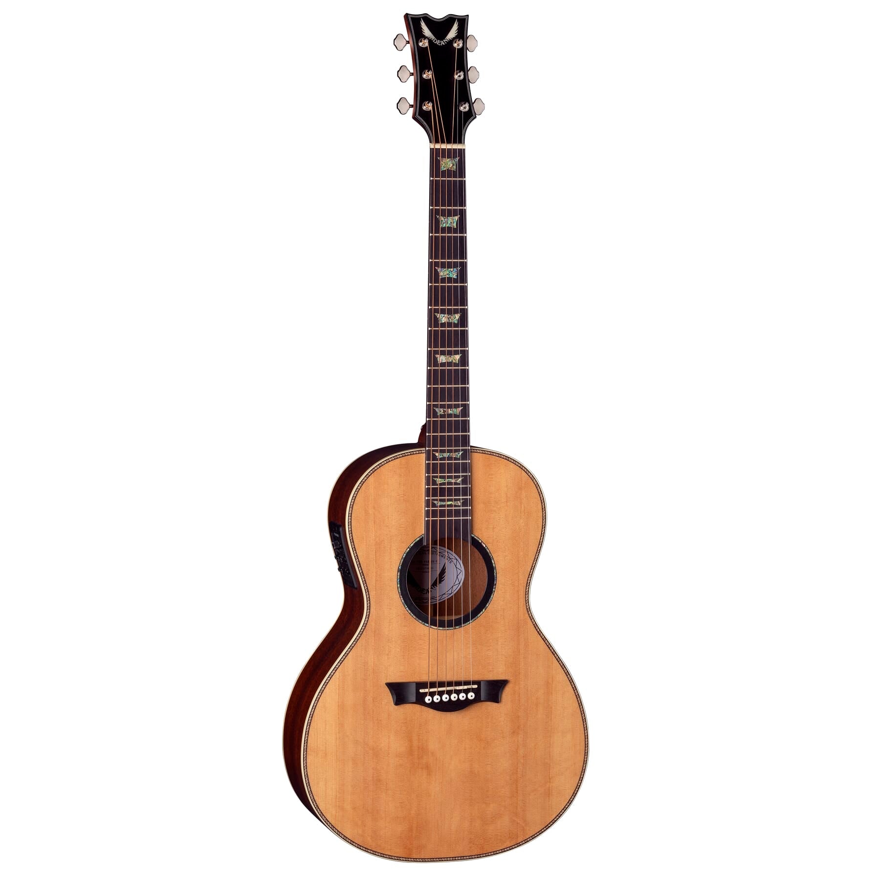 St. Augustine Elite Solid Top Parlor A/E