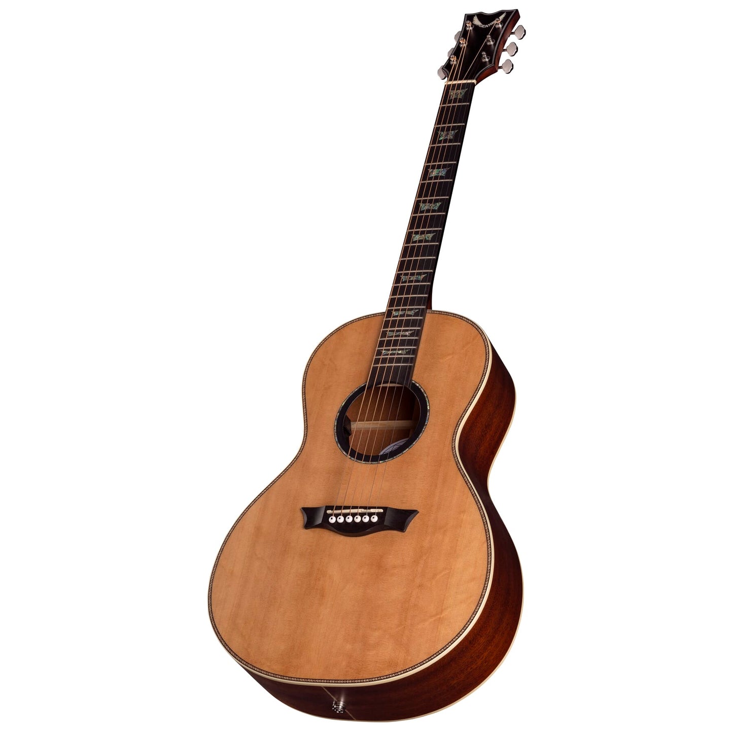 St. Augustine Elite Solid Top Parlor A/E