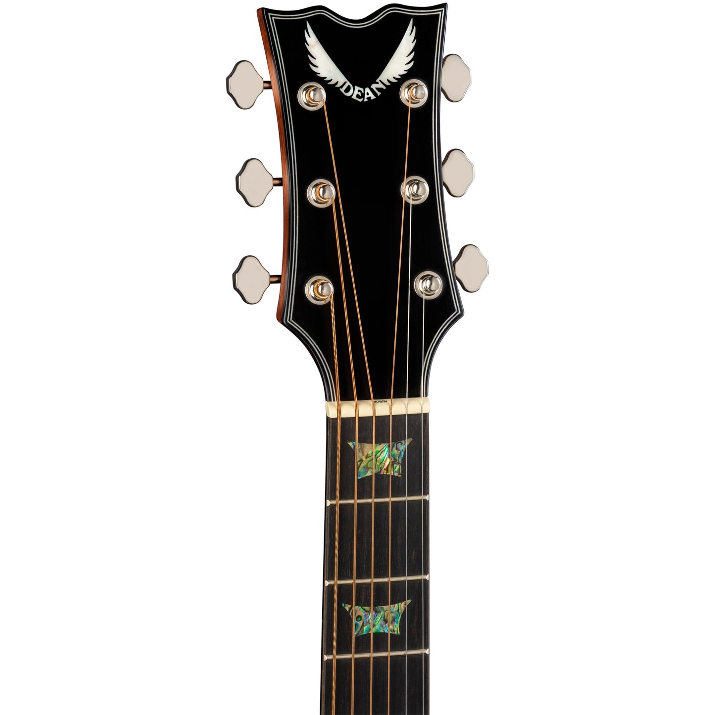 St. Augustine Elite Solid Top Parlor A/E
