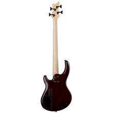 USA Edge 4 String Flame Top