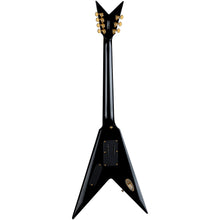 Vengeance Karl Sanders 7 String TBK